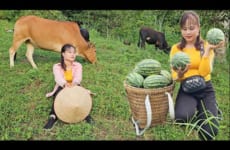 Bring watermelons to the market to sell, herd cows and feed chickens and ducks