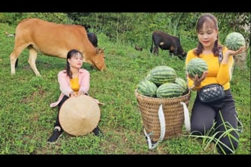 Bring watermelons to the market to sell, herd cows and feed chickens and ducks