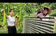 Build a gate for the vegetable garden, pick gourds and sell them at the market.