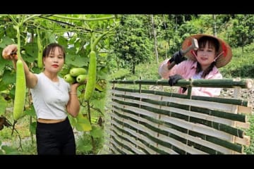 Build a gate for the vegetable garden, pick gourds and sell them at the market.