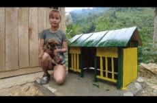 Build a wooden dog house - assemble the wooden frame, wall, Paint the wood blue - Green forest farm