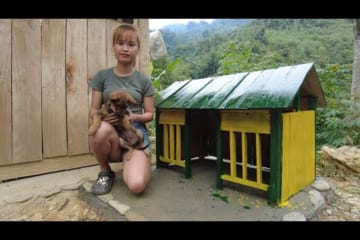 Build a wooden dog house - assemble the wooden frame, wall, Paint the wood blue - Green forest farm