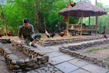 Build flower beds on both sides of the house entrance. build a new life with his wife - build life