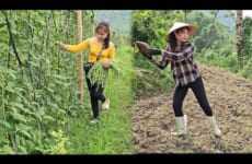 Clearing stones in the garden, picking cowpeas and bringing them to the market to sell
