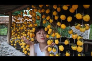 FULL VIDEO: Harvesting peach fruit, Grapefruit, mushrooms, Sprouted Go To The Market To Sell