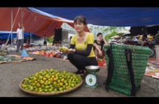 Go to the forest harvesting peach fruit - Go to the market sell peach - Green farm life
