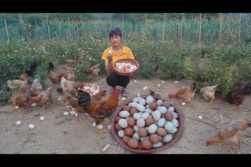 Harvest eggs chicken go to the village to sell - Dig beds and plant vegetables - Building farm life