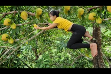Harvest fruit to sell at the market, take care of newly hatched chicks, and feed ducks and pigs