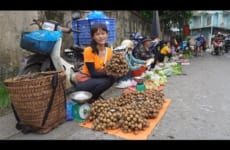 Harvesting Logan and Bring Them To The Market To Sell - Daily Life On The Farm