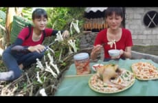 Harvesting mushrooms and prepare them cooking with chicken - Green forest life