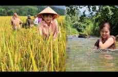 Helped my mother harvest rice, bathe in streams, and pick watermelons to sell at the market