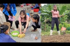 Make a vegetable nursery, bring eggs and bananas to the market to sell