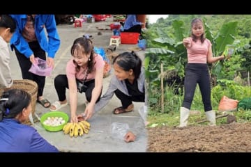 Make a vegetable nursery, bring eggs and bananas to the market to sell