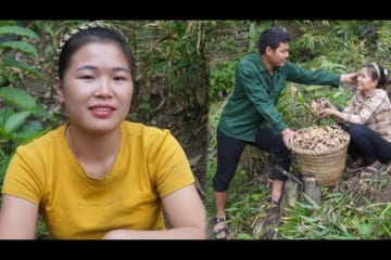 My lover came to help me harvest ginger to sell at the market and cook together