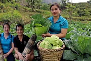 Phau makes a cage to catch eels. Dinh harvests cabbage to sell at the market.
