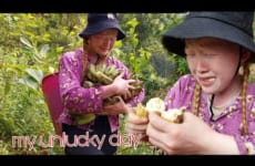 Pick Bananas To Sell At The Market, Plant More Vegetables In The Garden - Ly An Nhien