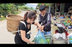 Pick flowers and black papaya to sell at the market. Growing vegetables in cold rain