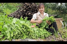 Pick upland vegetables to sell at the market, fertilize and take care of the vegetables.