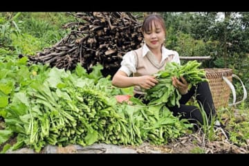 Pick upland vegetables to sell at the market, fertilize and take care of the vegetables.