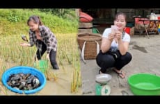 Take care of tomatoes, pick up bottles to sell